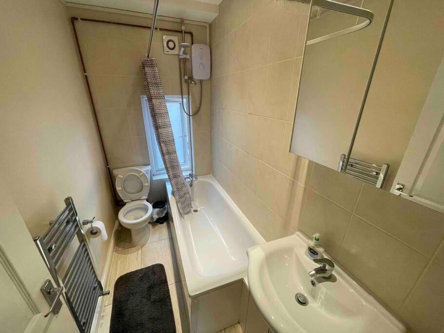 Apartament Comfortable 1 Bedroom And Double Sofa Bed Flat Londra